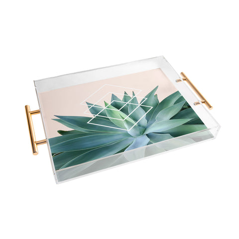 Gale Switzer Agave geometrics peach Acrylic Tray