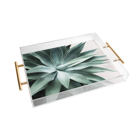 Gale Switzer Bursting into Life Acrylic Tray