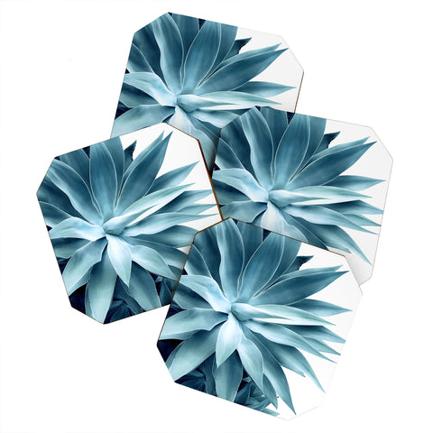 Gale Switzer Bursting into life teal Coaster Set