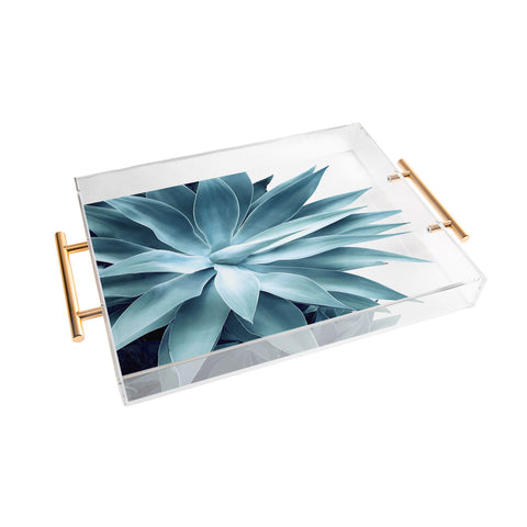 Gale Switzer Bursting into life teal Acrylic Tray