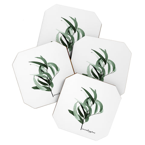 Gale Switzer Eucalyptus Australian gum tree Coaster Set