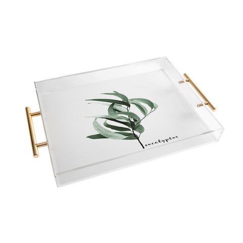 Gale Switzer Eucalyptus Australian gum tree Acrylic Tray