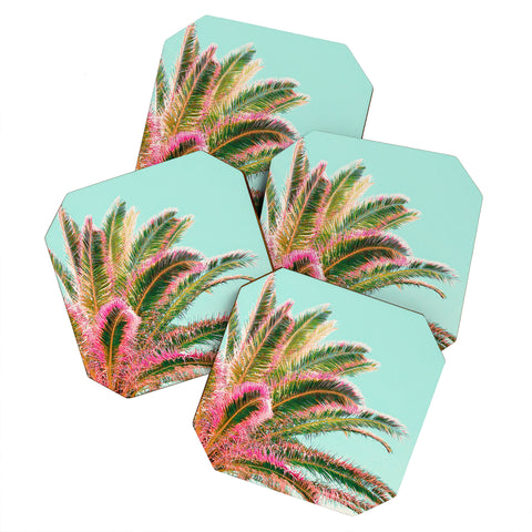 Gale Switzer Fiesta Palms Coaster Set