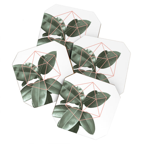 Gale Switzer Geometric Greenery Coaster Set