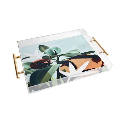 Gale Switzer Simpatico Acrylic Tray