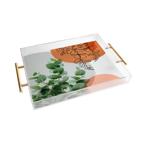 Gale Switzer Simpatico V4 Acrylic Tray