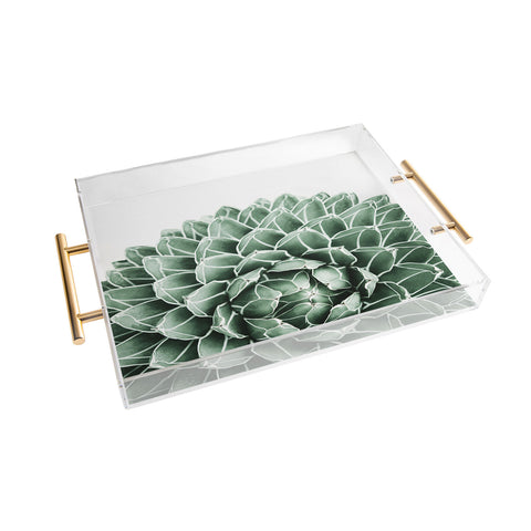 Gale Switzer Succulent splendour Acrylic Tray