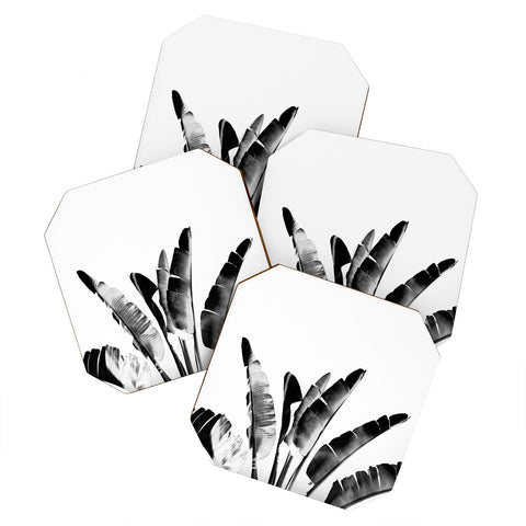 Gale Switzer Traveler Palm bw Coaster Set