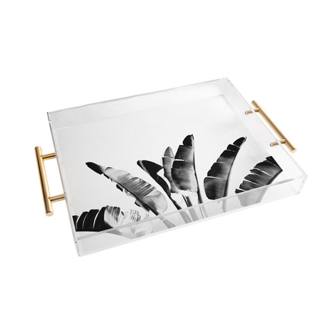 Gale Switzer Traveler Palm bw Acrylic Tray
