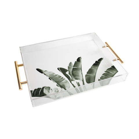 Gale Switzer Traveler Palm Acrylic Tray