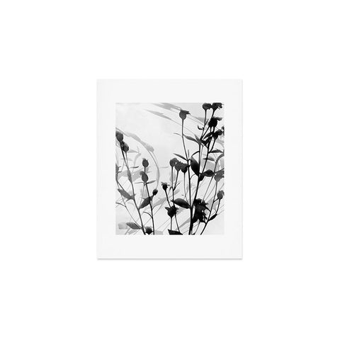 GalleryJ9 Budding Branches Black Grey Art Print