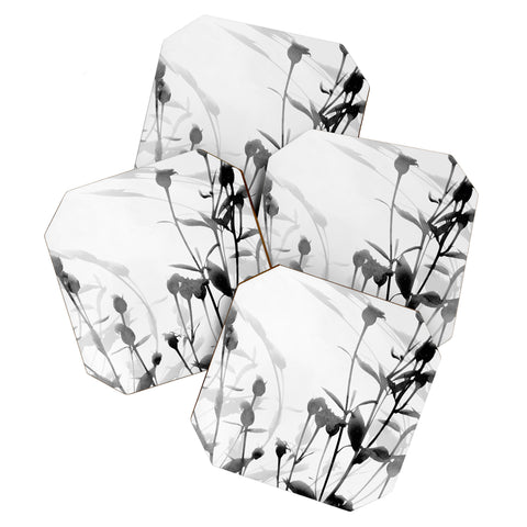 GalleryJ9 Budding Branches Black Grey Coaster Set