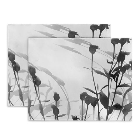 GalleryJ9 Budding Branches Black Grey Placemat