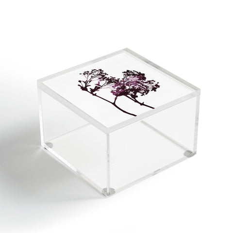 Garima Dhawan Dancing Trees Violet Acrylic Box