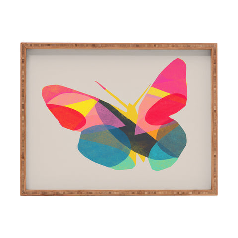 Garima Dhawan flight 1d Rectangular Tray