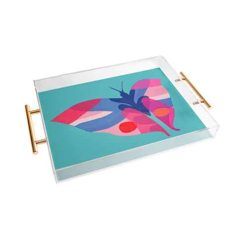 Garima Dhawan flight 2 Acrylic Tray