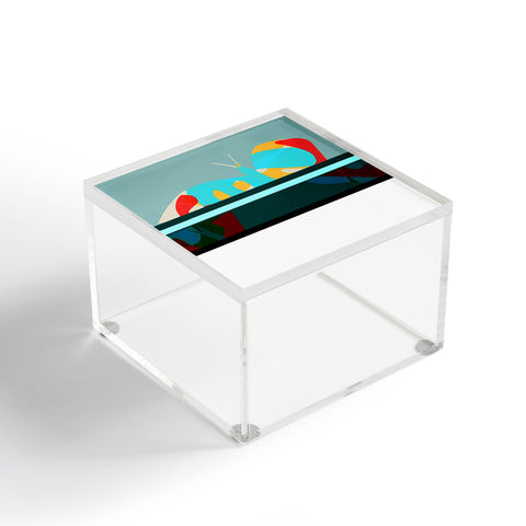 Garima Dhawan flight 5 Acrylic Box