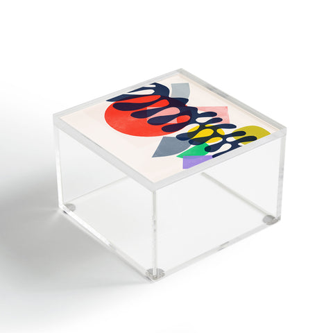 Garima Dhawan growing 1 Acrylic Box