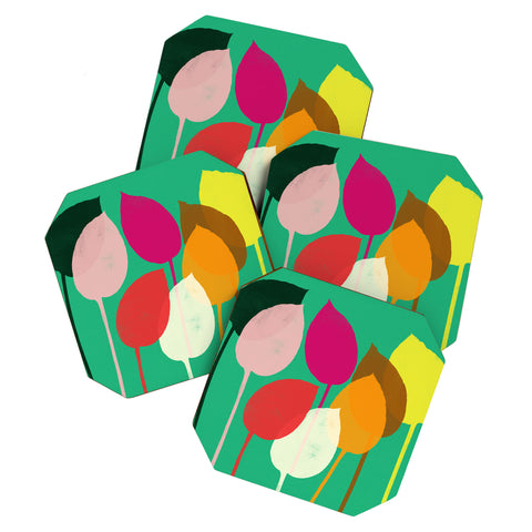 Garima Dhawan hosta 2 Coaster Set