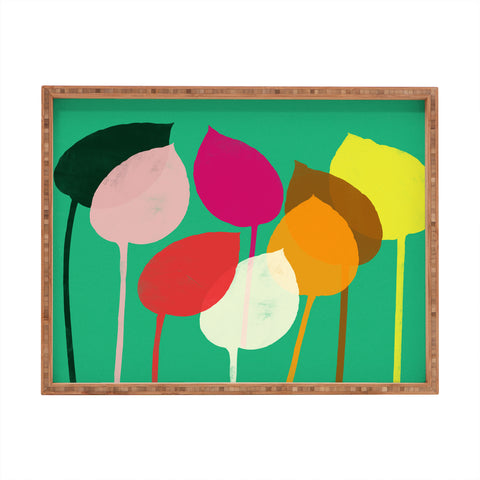 Garima Dhawan hosta 2 Rectangular Tray