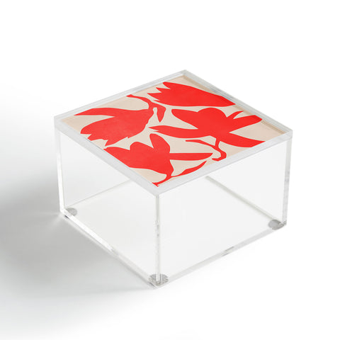 Garima Dhawan magnolia 12 Acrylic Box
