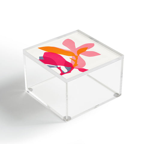 Garima Dhawan magnolia 8 Acrylic Box