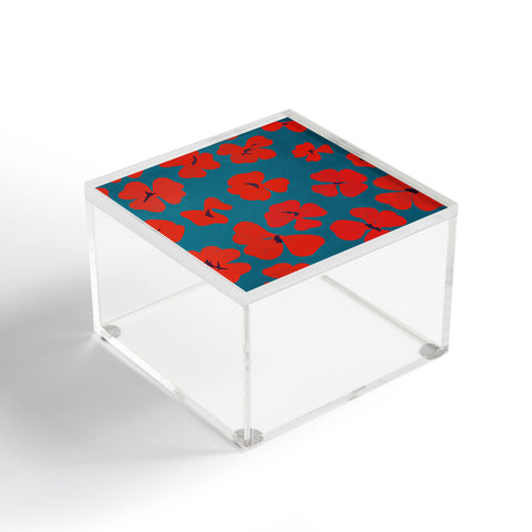 Garima Dhawan oxalis 1 Acrylic Box