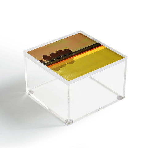Garima Dhawan reflections 1 Acrylic Box