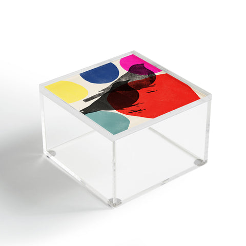 Garima Dhawan wild 2d Acrylic Box
