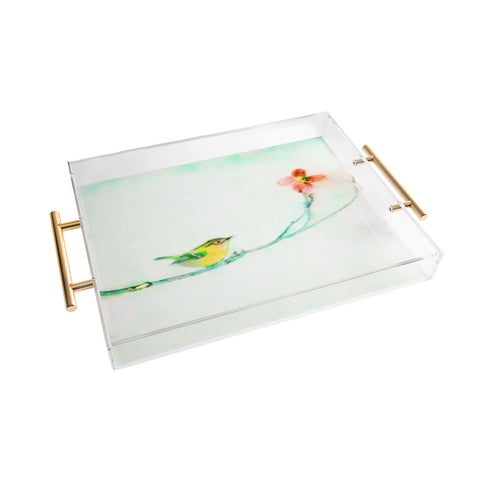 Hadley Hutton Golden Wren Acrylic Tray