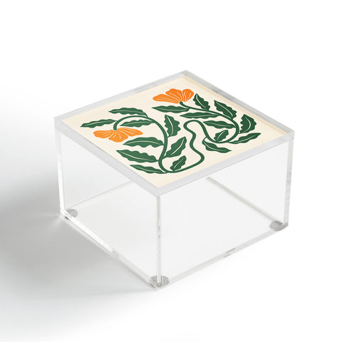 haleyum Midcentury Nasturtium on Vines Acrylic Box