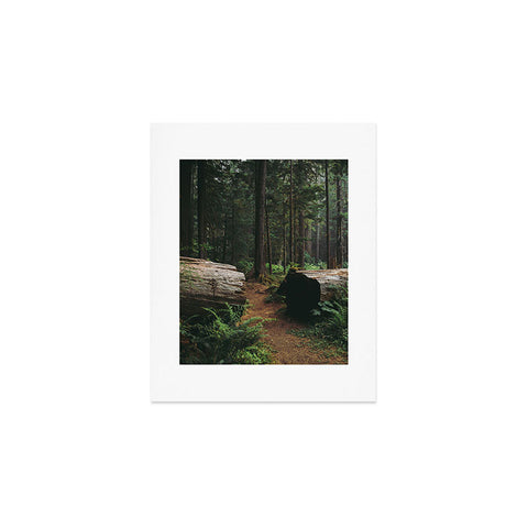 Hannah Kemp A Walk in the Woods Art Print
