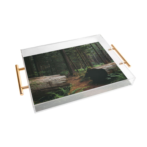 Hannah Kemp A Walk in the Woods Acrylic Tray