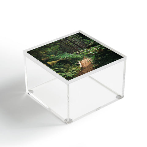 Hannah Kemp A Walk in the Woods II Acrylic Box