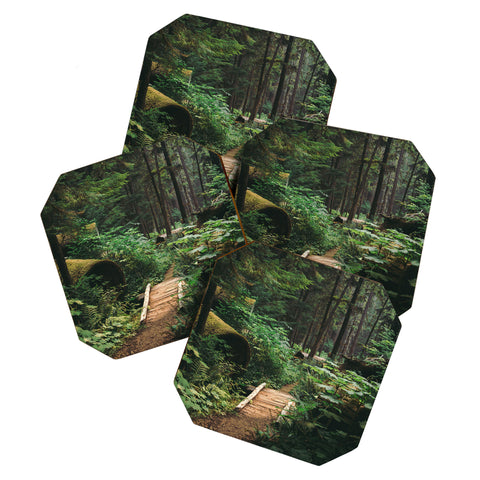 Hannah Kemp A Walk in the Woods II Coaster Set