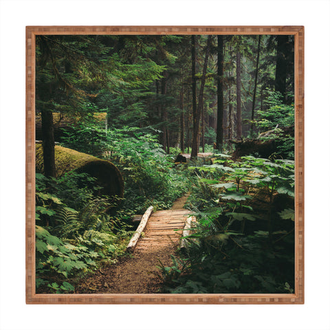 Hannah Kemp A Walk in the Woods II Square Tray