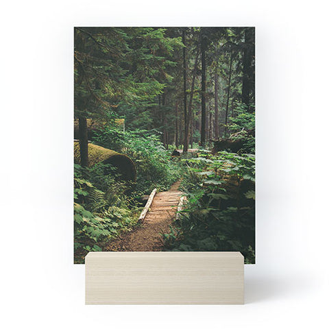 Hannah Kemp A Walk in the Woods II Mini Art Print