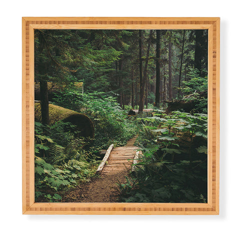 Hannah Kemp A Walk in the Woods II Framed Wall Art
