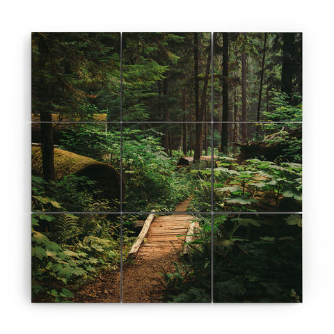 Hannah Kemp A Walk in the Woods II Wood Wall Mural