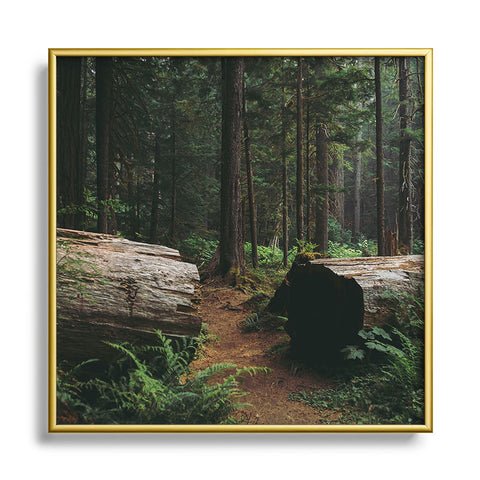 Hannah Kemp A Walk in the Woods Square Metal Framed Art Print