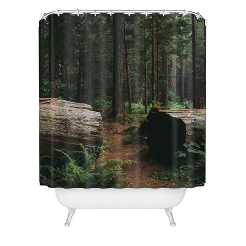 Hannah Kemp A Walk in the Woods Shower Curtain
