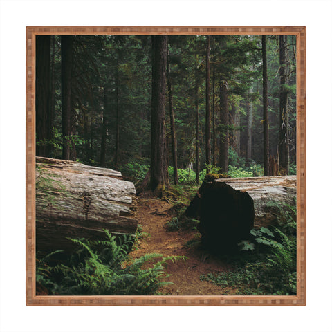 Hannah Kemp A Walk in the Woods Square Tray