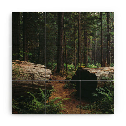 Hannah Kemp A Walk in the Woods Wood Wall Mural