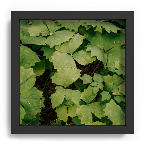 Hannah Kemp Achlys Triphylla Recessed Framing Square