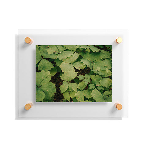 Hannah Kemp Achlys Triphylla Floating Acrylic Print