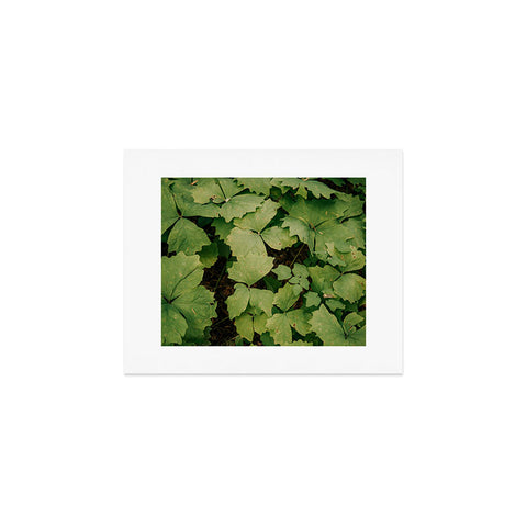 Hannah Kemp Achlys Triphylla Art Print