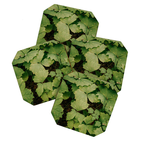Hannah Kemp Achlys Triphylla Coaster Set