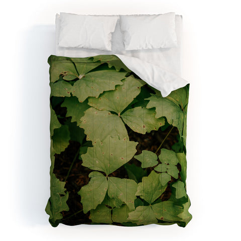 Hannah Kemp Achlys Triphylla Comforter
