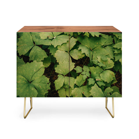 Hannah Kemp Achlys Triphylla Credenza