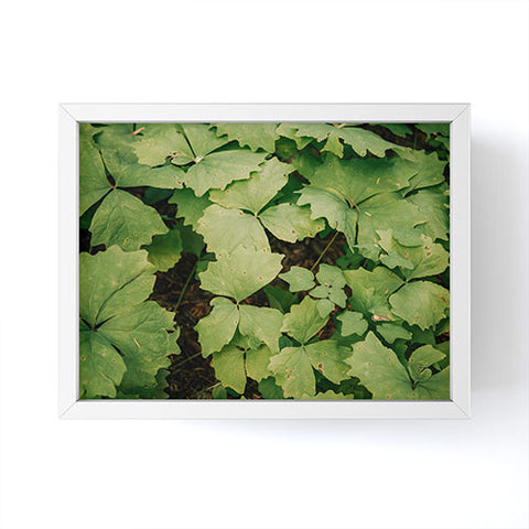 Hannah Kemp Achlys Triphylla Framed Mini Art Print